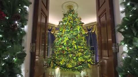 2020 Christmas Decorations at the White House