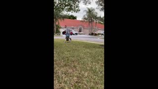 Toddler having a blast in the tricycle with daddy