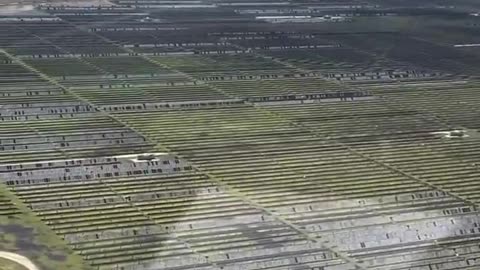 Solar energy plant destroyed Texas by hailstorm