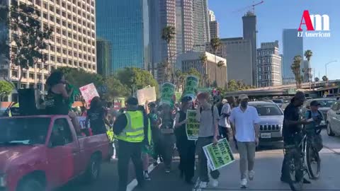 Pro-Abortion Protestors Shut Down Freeway in LA and Attack Drivers Who Don't Stop