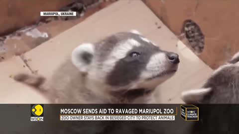 Mariupol Zoo comes under attack as shelling kills a family of Llamas