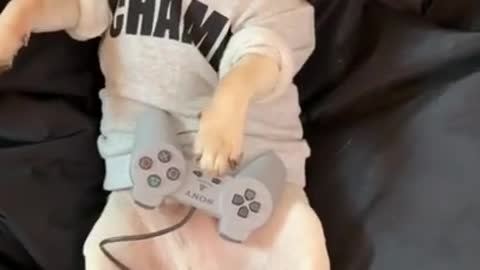 Little naughty puppy playing game on play station while his master os tickling him