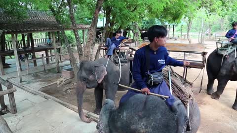 Mahouts - people who works with, rides, and tends an elephants. People on elephants