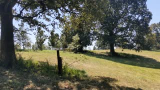 Peaches moving to a new pasture.