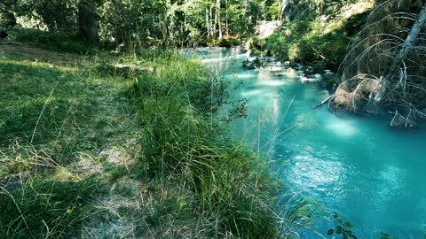 Turquoise River Flowing through the Forest