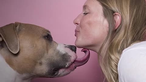 Rescue Pit Bull LOVES Hugging and Kissing EVERYONE | The Dodo