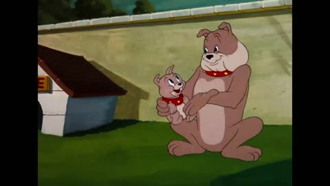 Tom & Jerry | Cutest Little Animals! 🐣🐱🐶 | Classic Cartoon Compilation | @wbkids​