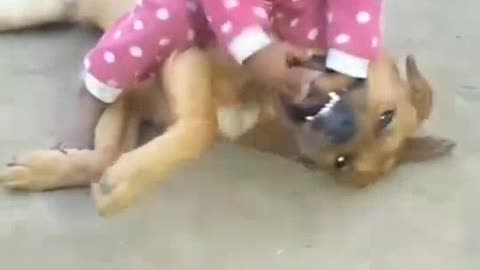 The girl's hand went inside the dog's mouth