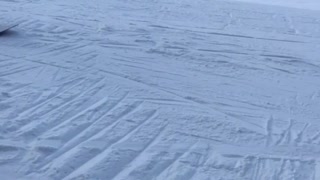 Snowboarder tries to grind rail and faceplants on it