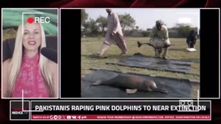 Pakistanis Are R@ping Pink Dolphins To Near Extinction