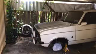 Mk2 Ford Escort Resurrection - *Project Pegasus* - Ep.1