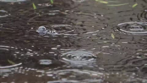 20 Amazing Rain Video | Rain video Background
