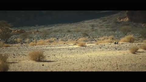 Herat chase scene action