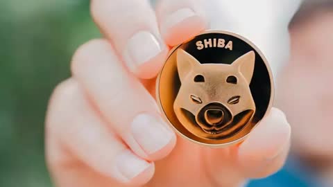 EXCLUSIVE: TOP 1 SHIBA INU WHALE REVEALS WHY HE KEEPS BUYING TRILLIONS EVERY DAY! - SHIB NEWS