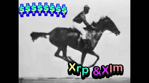 XRP & XLM & MY FAV SONG