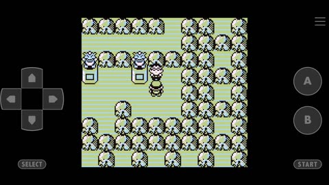 Pokemon Blue Kaizo Walkthrough Part 6 Gym Leader Brock 1st Badge