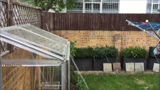 Bengal cat doesn't like hailstones