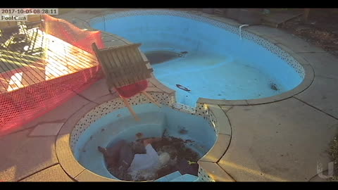 Man Falls Into Empty Hot Tub With Wheelbarrow