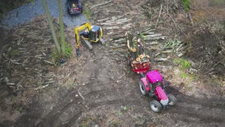 Logging Landing