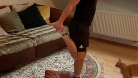 Cat attacks owner for absolutely no reason whatsoever