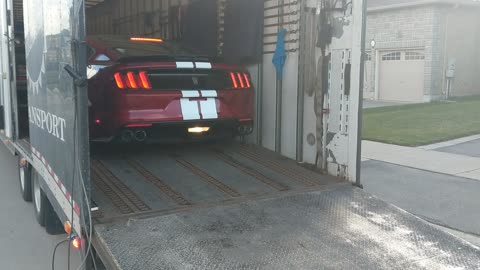 Taking Delivery of my 2017 Shelby Gt 350