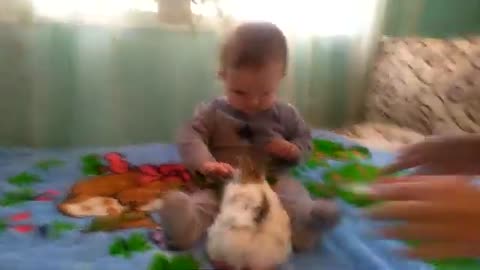 Cute_Baby_is_Feeding_a_Little_Rabbit