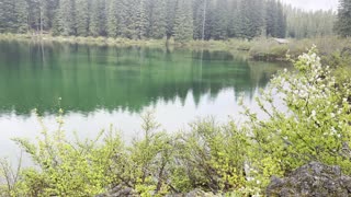 One of the BEST Sections of Clear Lake Loop – Volcanic Shoreline + Mineral Tinted Green Lake – 4K