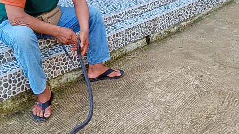 PARENTS CARE TO CONTROL SNAKES