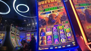Buffalo Cash Slot Machine Play Bonuses Free Games Fun Low Roller Play!
