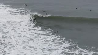 XXL Los Angeles Surf