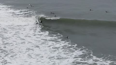 XXL Los Angeles Surf