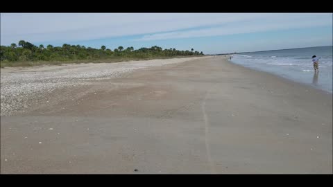 Took a ride to Edisto Beach State Park SC