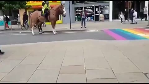 Based Horses in the UK 🇬🇧