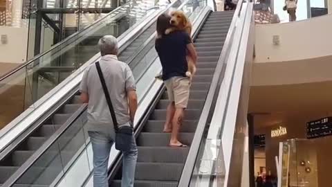 I won't go on the Escalator until you take me