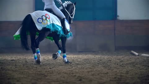 Olympic Horse Running In Riding Hall