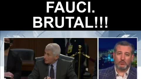 Ted Cruz demolishes Fauci -