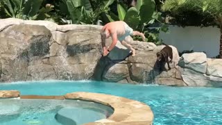 Synchronized diving with Chester!