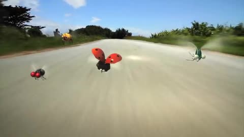 Minuscule Racing Bugs A Hilarious Animated Adventure! [Image from the Minuscule clip "Racing Bugs"]