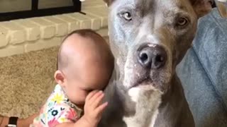Baby sister giving puppy kisses