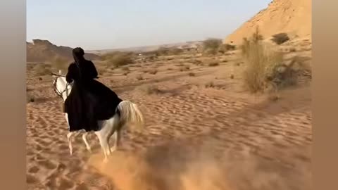 Arabian_warrior_woman CowGirl 🦄🐎 streaming tv viral tendance
