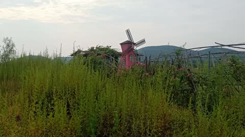 The wind is light today, and the windmill does not turn