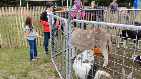 Spencer feeding goats at fair VID_20220514_141644