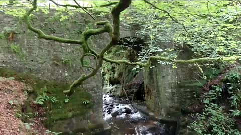 Pwll Cŵn (Dogs Pool) at Devil's Bridge