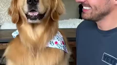 How I Trained My Dog to smile