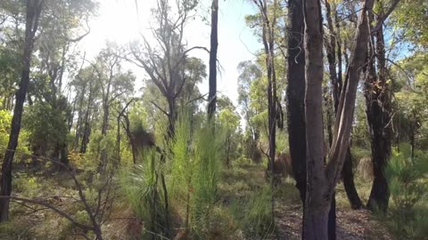 Brookton Shelter on the Bibbulmun Track