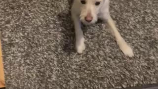 Sonny attacking the treadmill monster