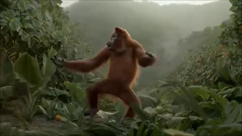 New BUDOT dance 2021 [Monkey]