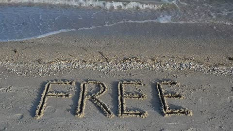 Word &quot;free&quot; written in the sand on a sunny beach