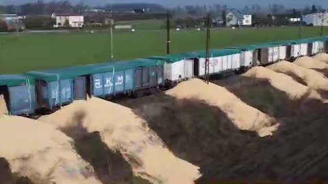 2024 польские: Polski activist dump train loads of Ukrainian grain