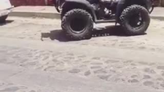 Little kid rides four wheeler up street and parks between cars